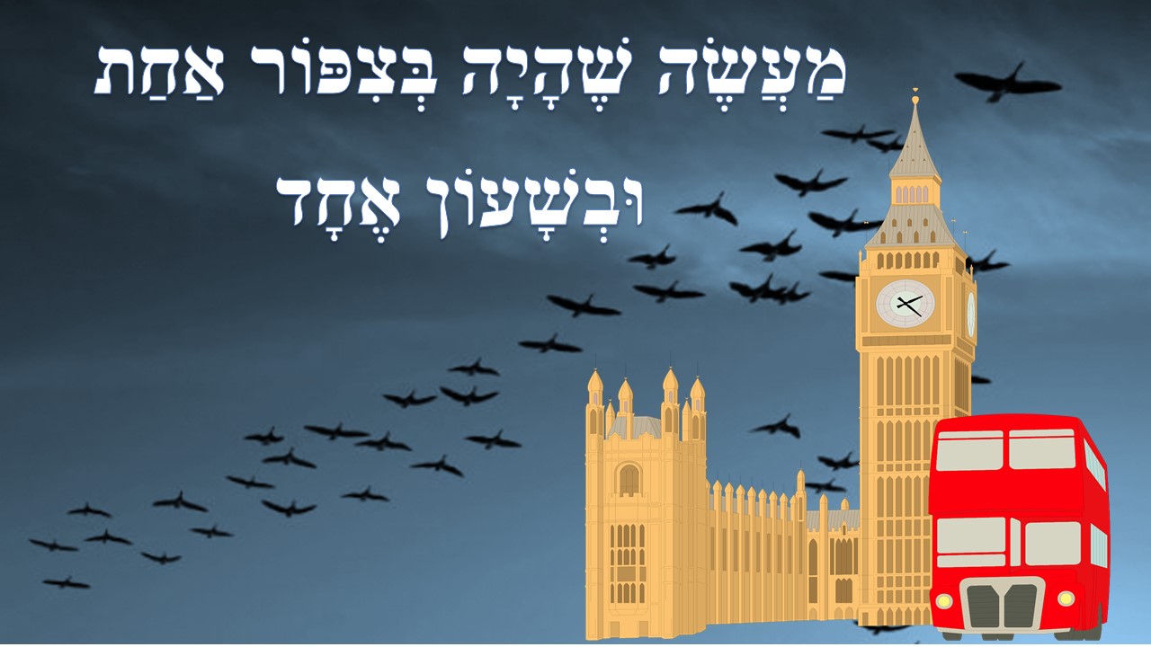 מַעֲשֶׂה שֶׁהָיָה בְּצִפּוֹר אַחַת וּבְשָׁעוֹן אֶחָד