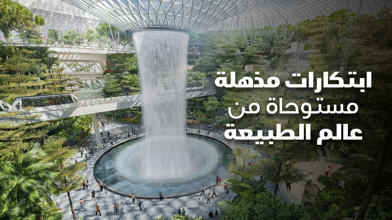 من الطبيعة إلى الابتكار